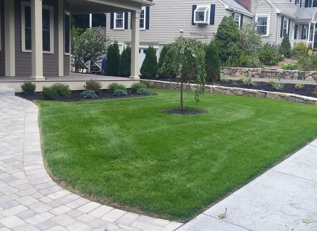 Jason Albano Lawn Care work photo