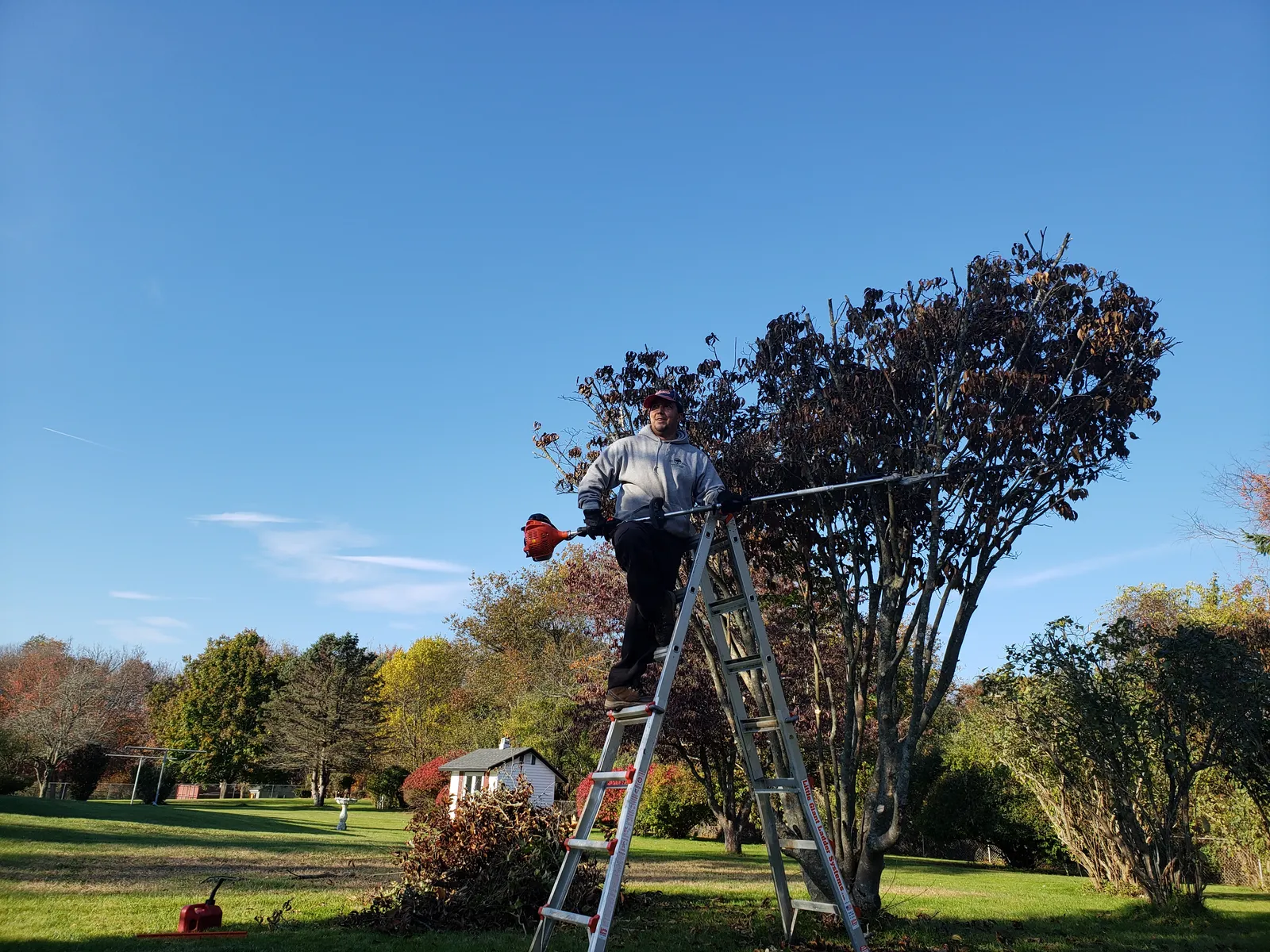 work photo from Google listing