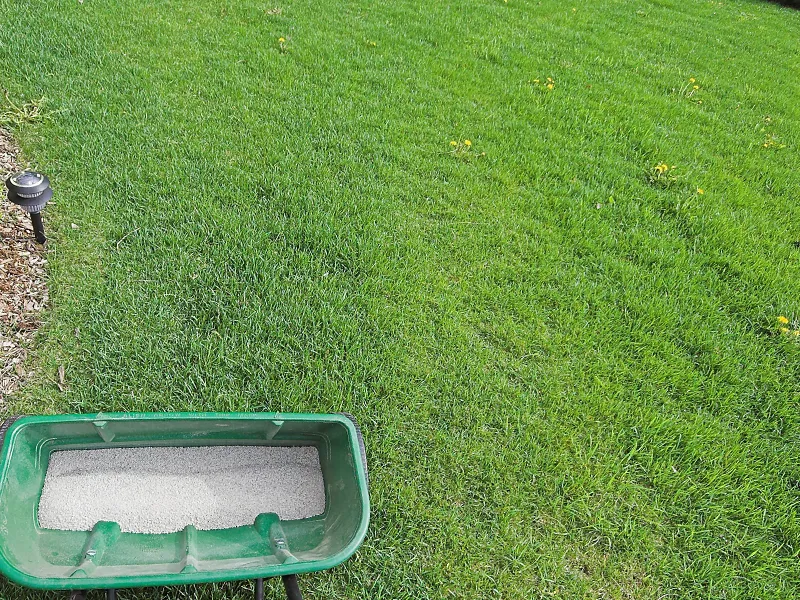 Organic Lawn Care Home 1