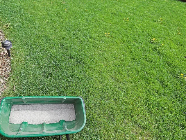 Organic Lawn Care Home 1