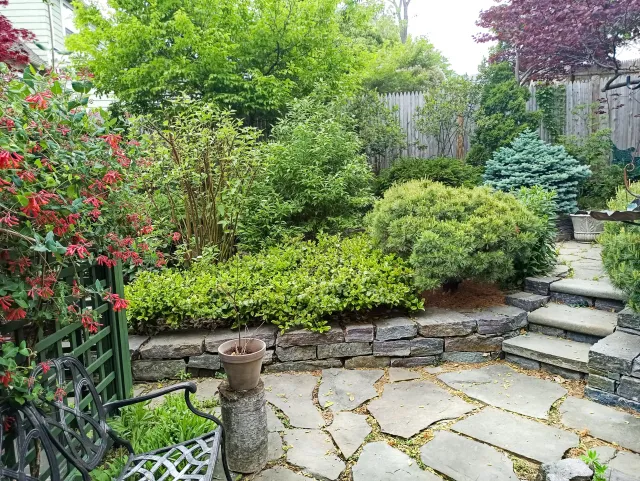 Lush garden with stone path, shrubs, trees, and red flowers; includes a bench and a small potted plant.