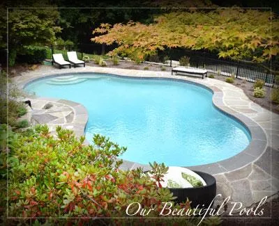 Puraqua Pools