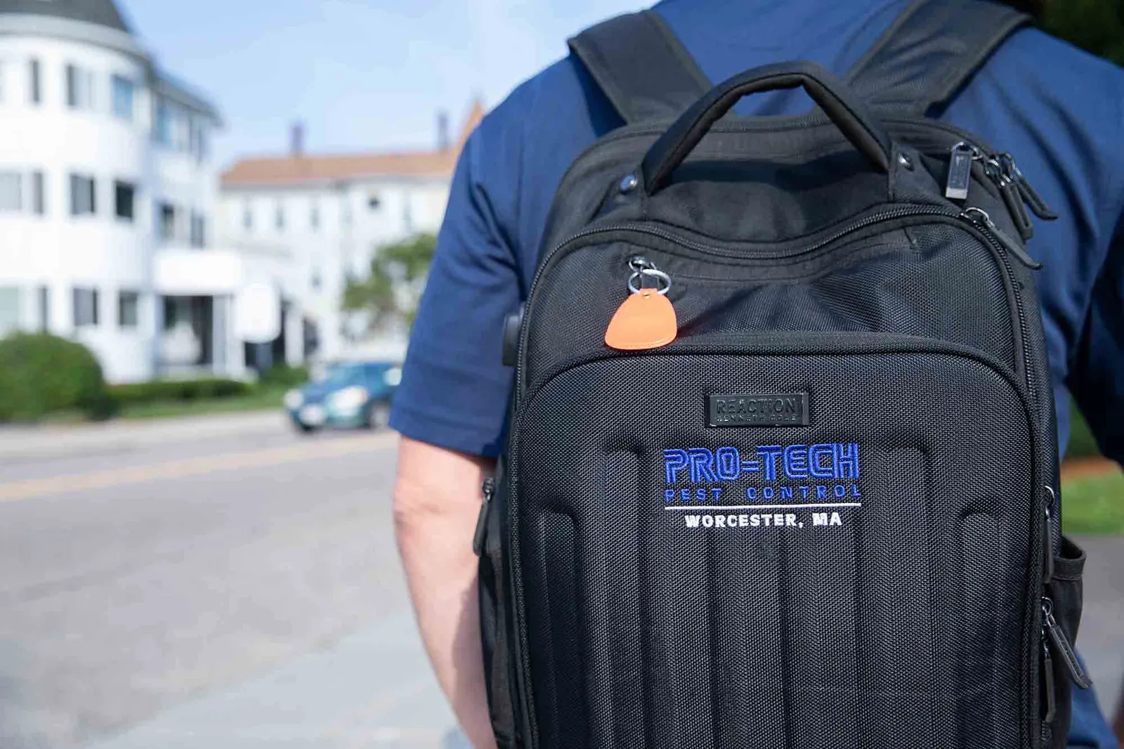 work photo from protechpestcontrol.com