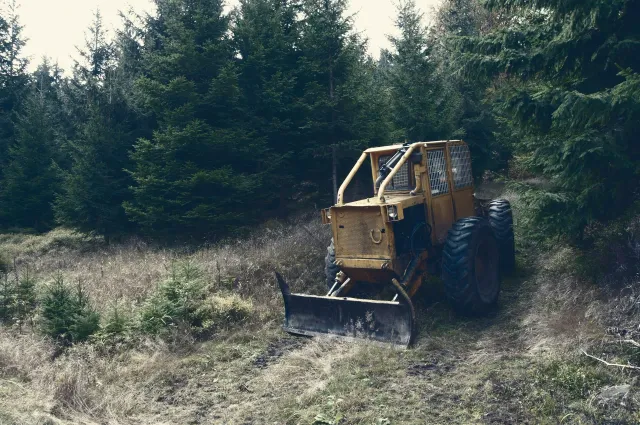 work photo from forestlandscaper.com