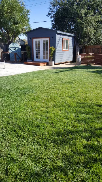 natural weed control