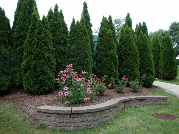 Turf N Timber work photo