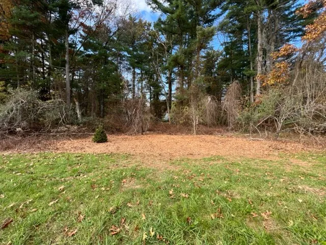 work photo from ethicaltreeservices.com