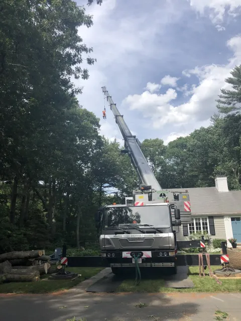 Landscape Service