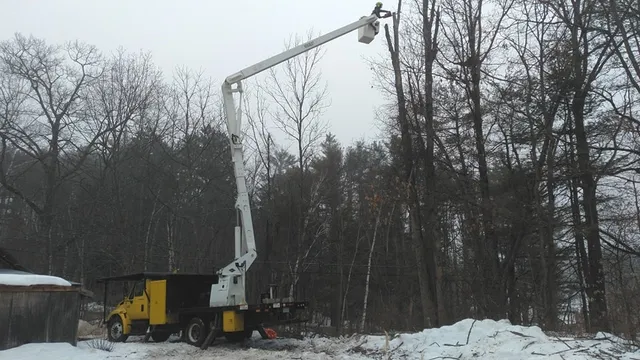 Arborist working from a bucket truck to trim a bare hardwood in winter