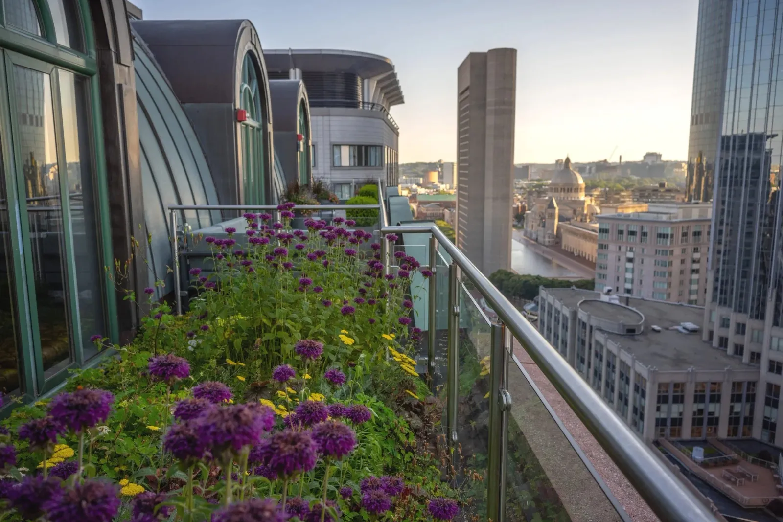 work photo from recovergreenroofs.com