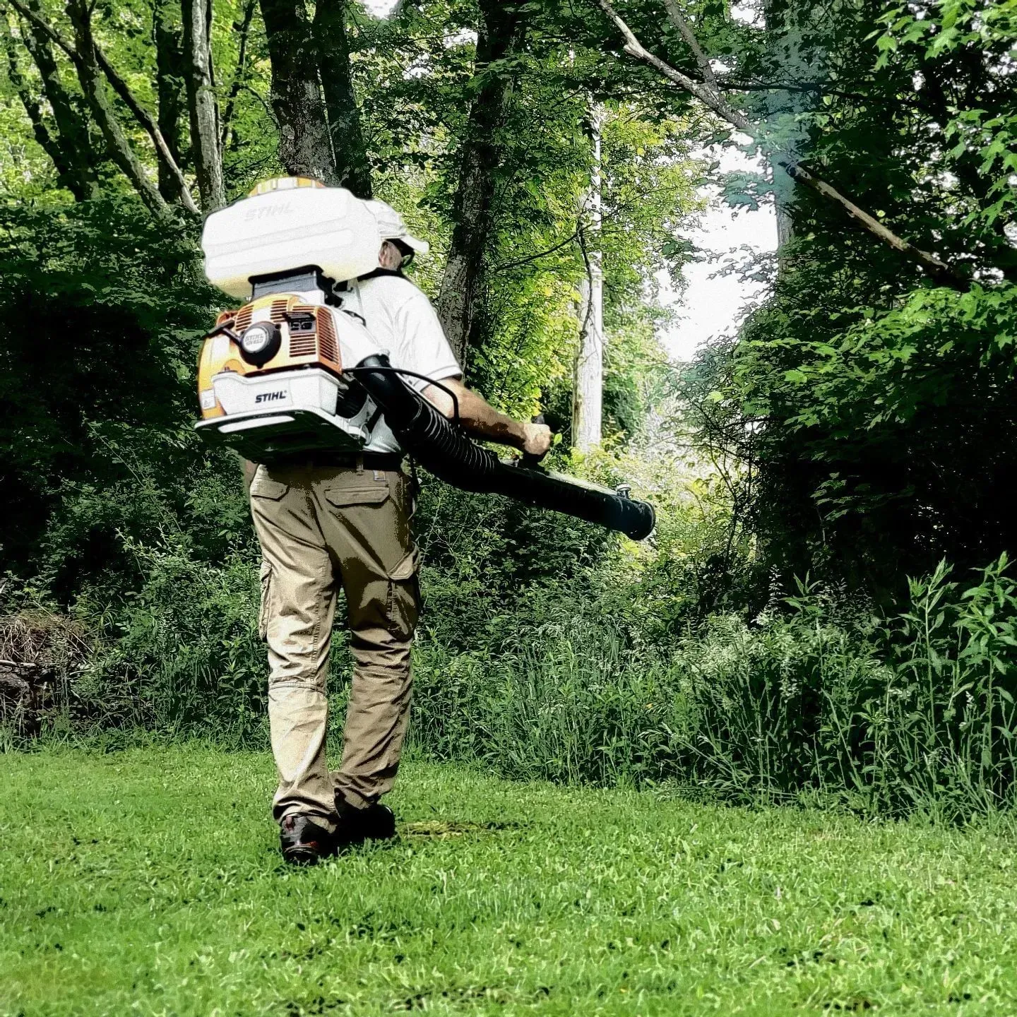 work photo from weirvillagepest.com