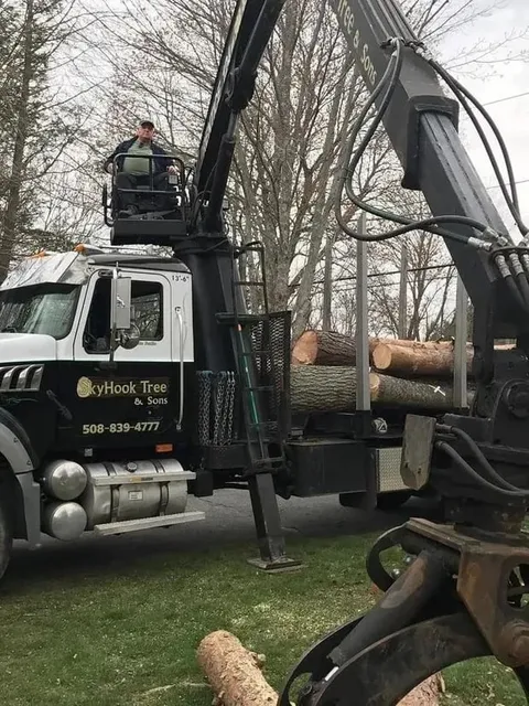 SkyHook Tree work photo