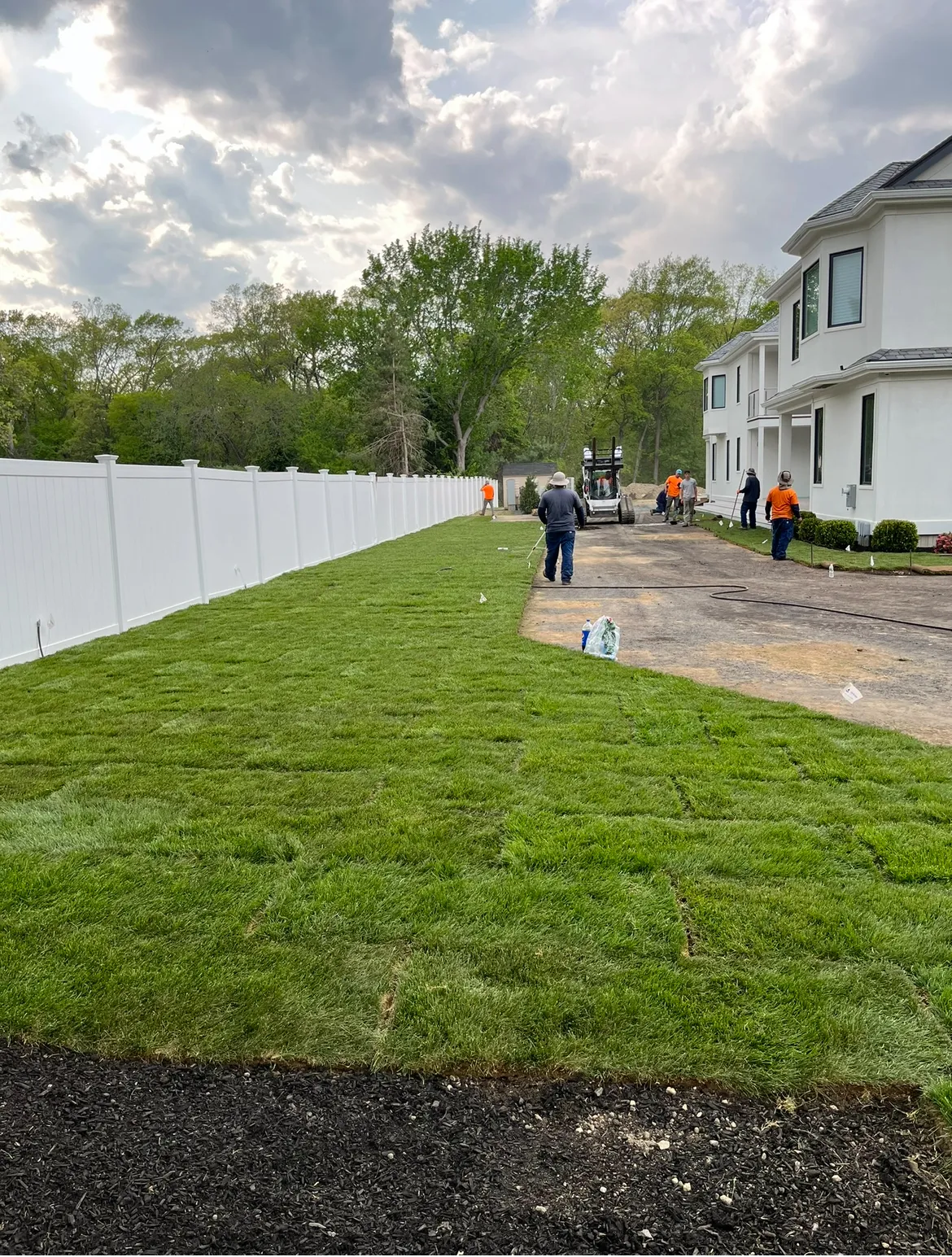Towne Tree & Landscaping
