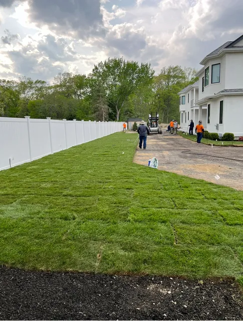 Towne Tree & Landscaping