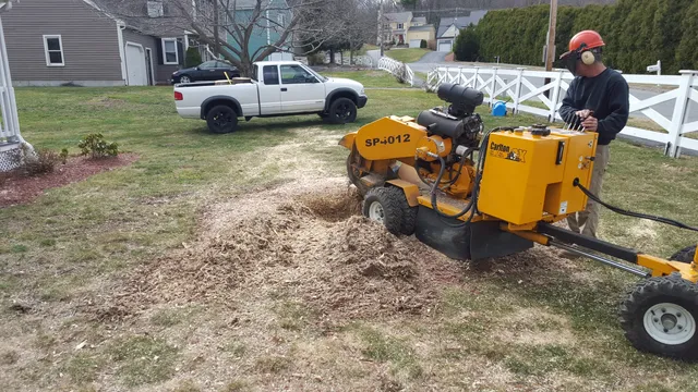 Berkley Tree Service work photo