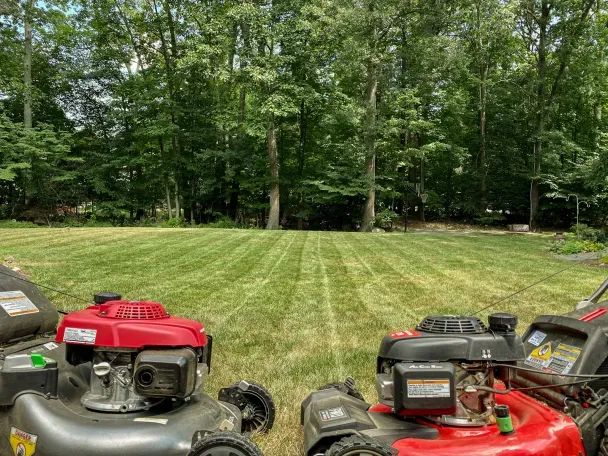 work photo from ecograsslandscaping.wordpress.com