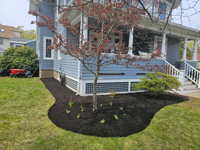 PRO Maintenance Landscape & Construction work photo