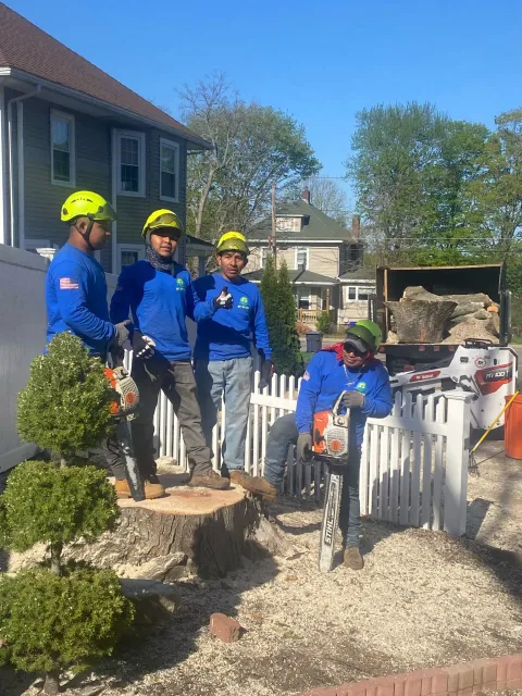 work photo from adantreeservices.com