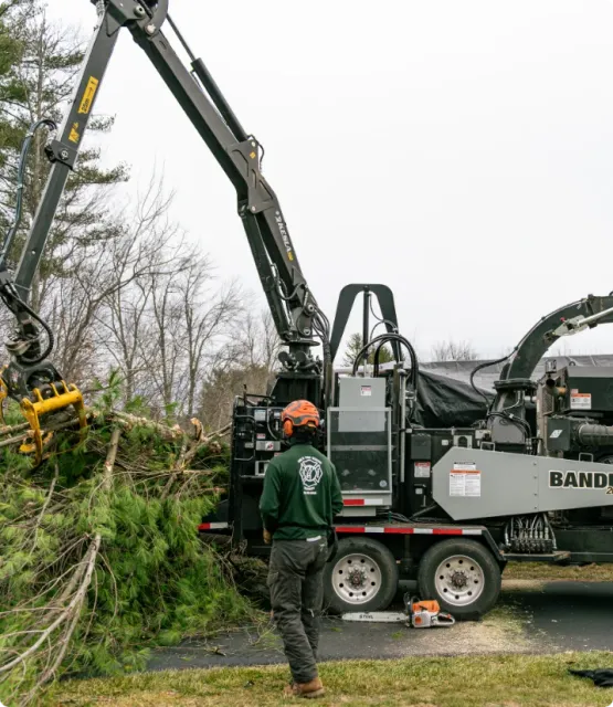 Brush Chipping