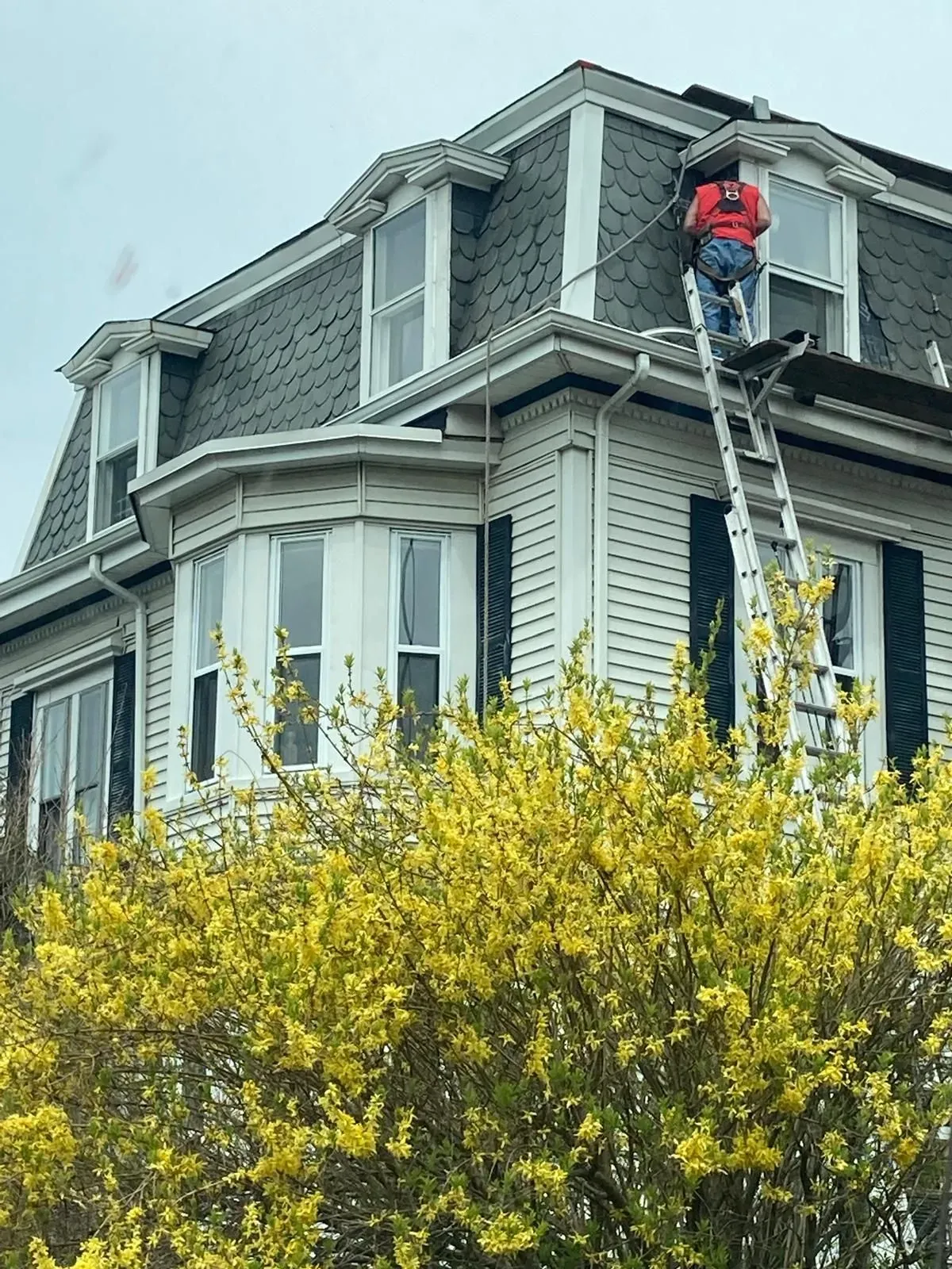 A man is standing on a ladder on the roof of a house.