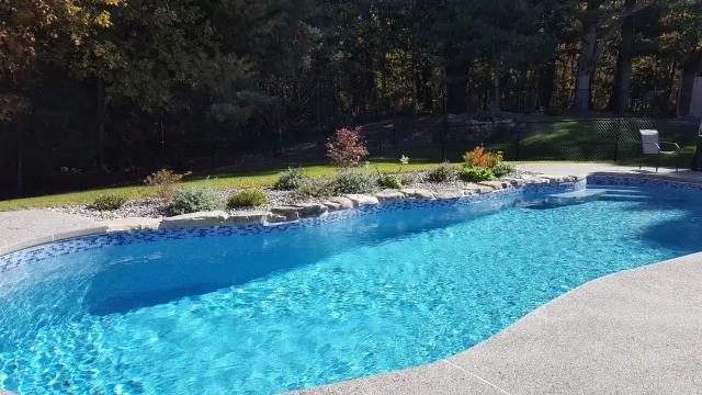 Swimming pool with blue water and stone surround, set against a backdrop of trees and greenery.