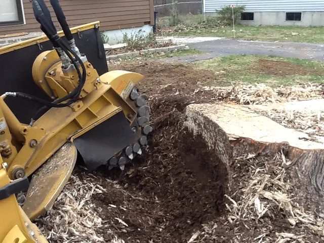 Fredette's Stump Grinding Service LLC work photo