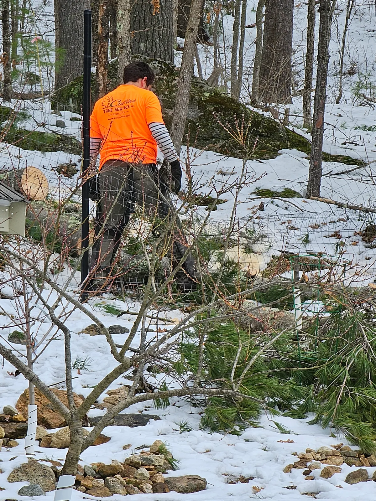 work photo from Google listing