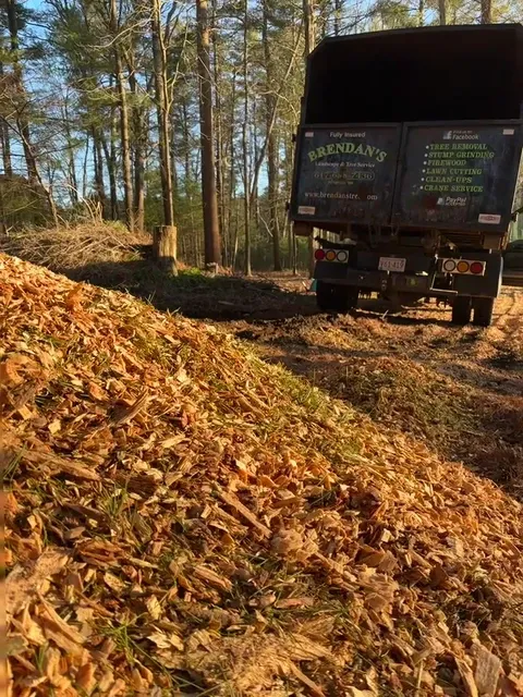 work photo from brendanslandscape.com