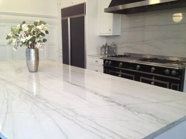 a kitchen counter with a vase of flowers on it
