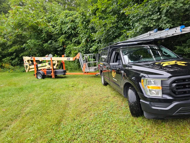 Critter Control of Springfield MA work photo