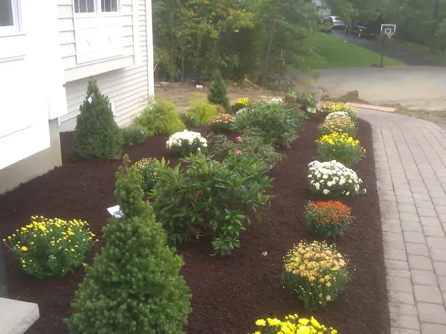 work photo from randalllandscaping.com