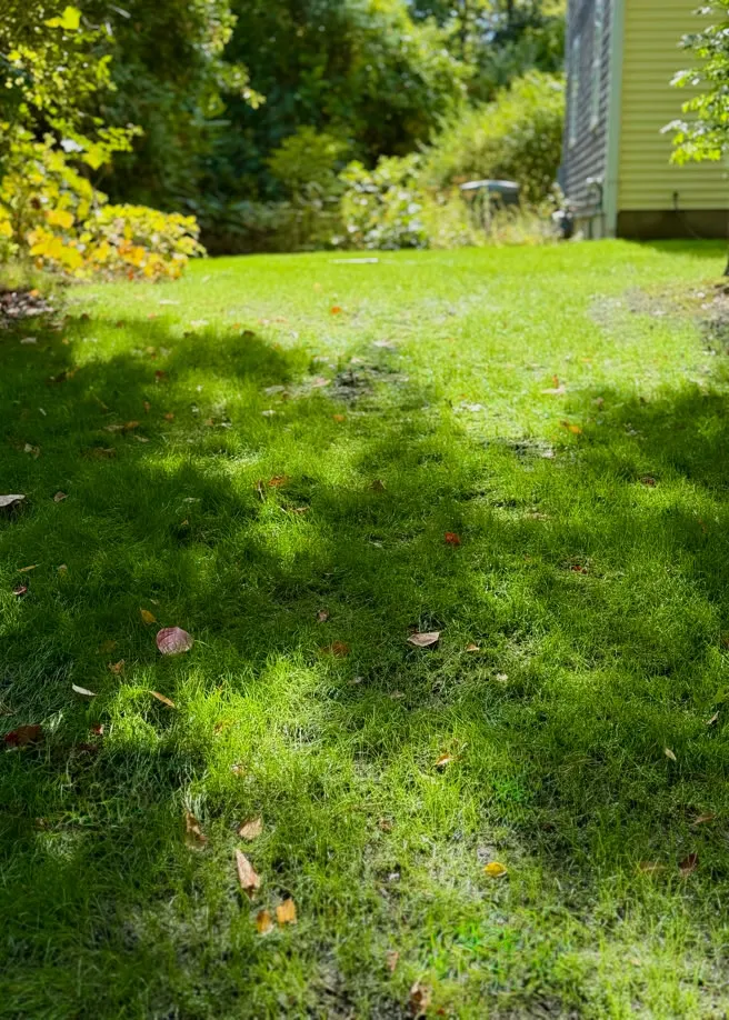 work photo from dumaslandscape.com