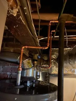 Alligators Rooter researched project photo