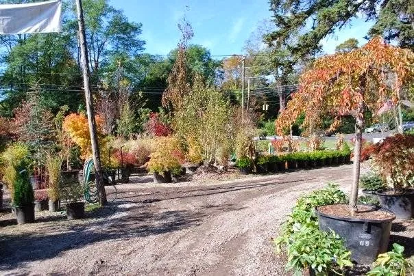 Weston Gardens work photo