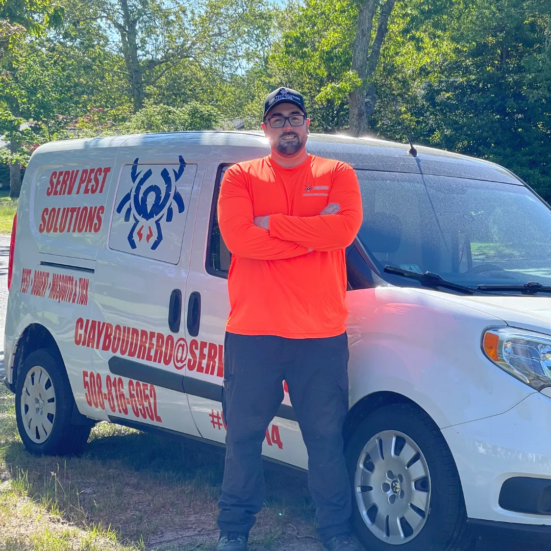 When should you contact a professional for pest control