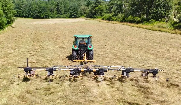 haying gordon services