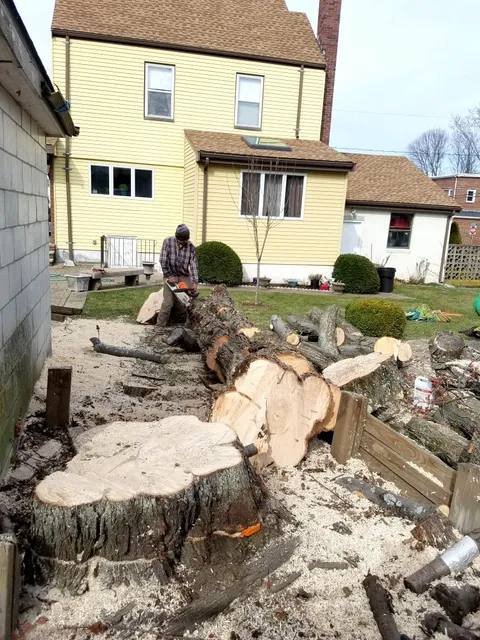 D&G landscape & masonry Inc work photo