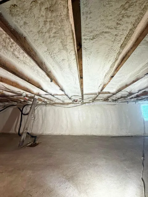 Basement ceiling and concrete floor. Insulation visible on ceiling beams.