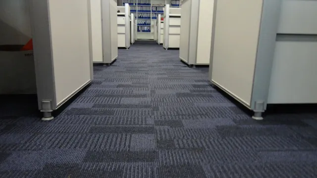Office hallway with gray carpet and white cubicle partitions