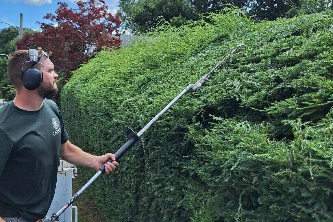 A man using an electric hedge trimmer to trim bushes.