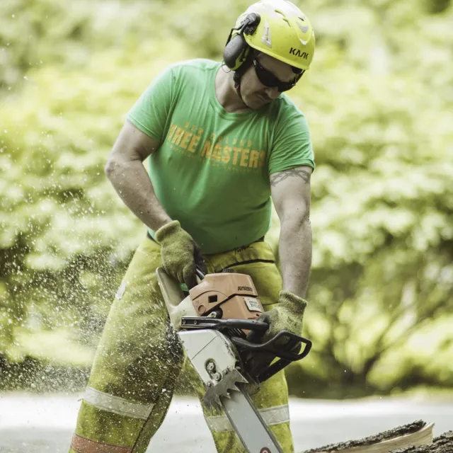 work photo from newenglandtreemasters.com