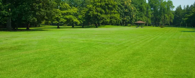commercial landscaping company ct