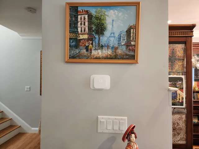 Customer review photo: installed switches and thermostat