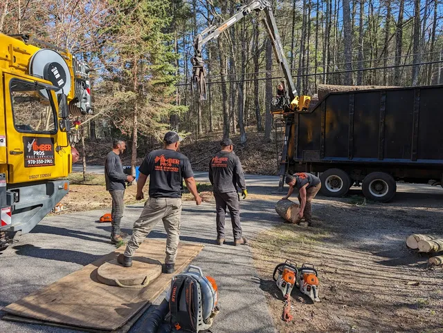 Timber Pros work photo
