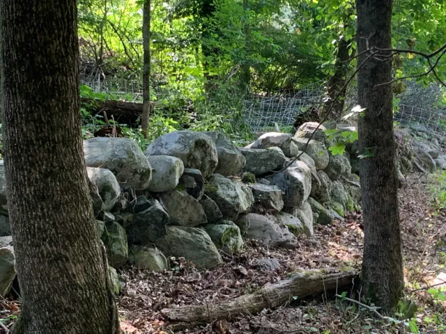 After - Canton, MA