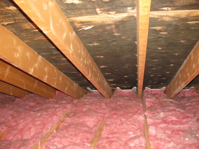 Advanced Mold Testing and Remediation Services