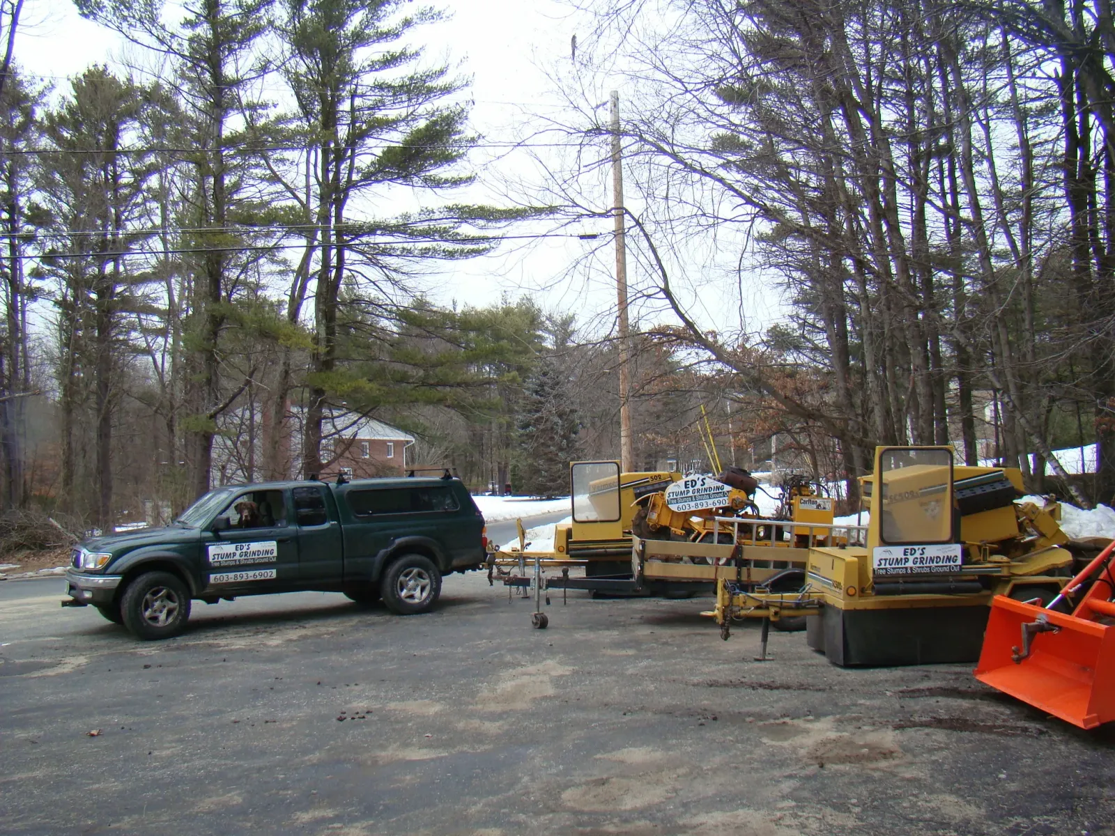 Ed's Stump Grinding researched project photo