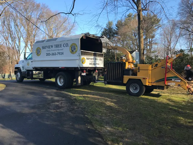 Skyview Tree Removal work photo