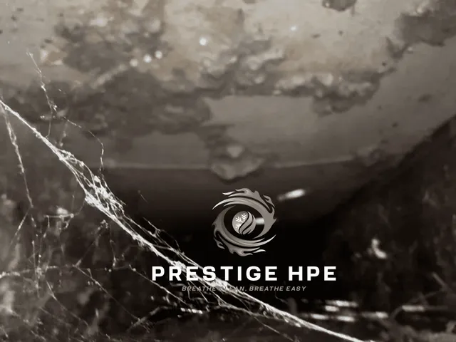 work photo from prestigehpe.com
