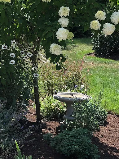Review photo by Sandra Clark